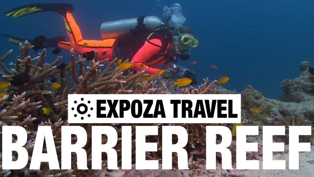 The Great Barrier Reef (Australia) Vacation Travel Wild Video Guide