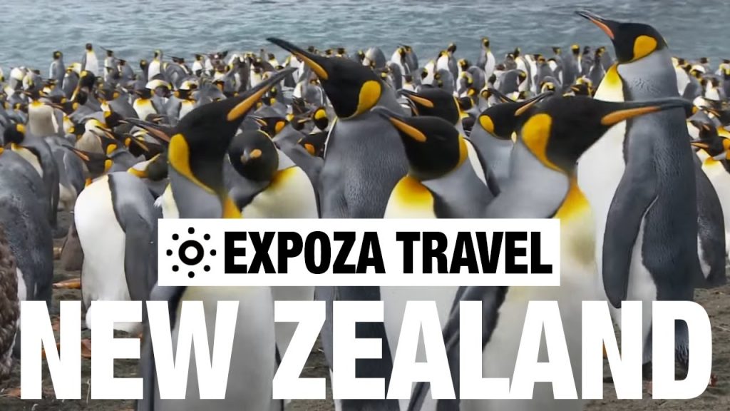 New Zealand Part 1 (Oceania) Vacation Travel Wild Video Guide