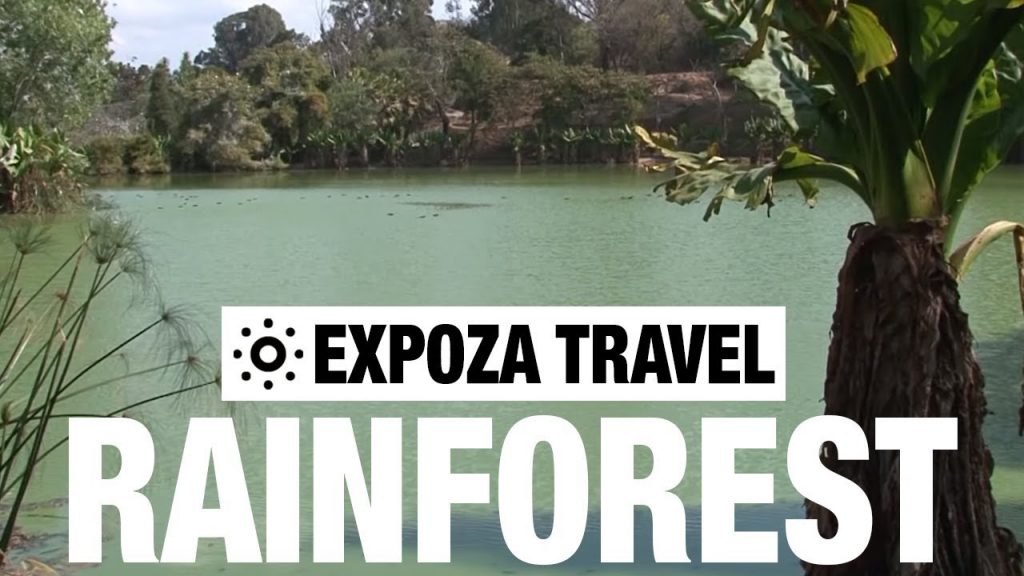 Rainforest (Madagascar) Vacation Travel Video Guide