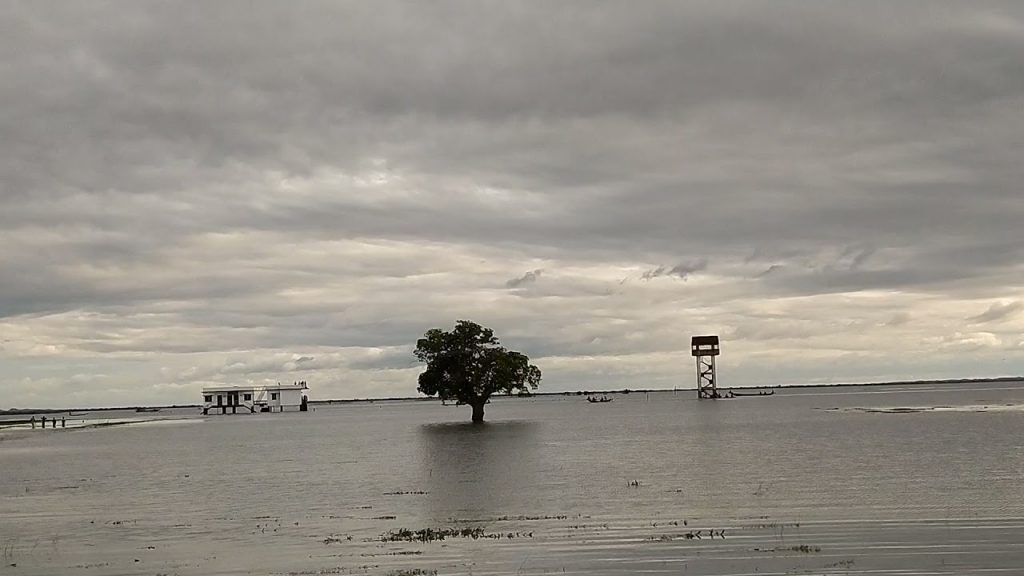 হাকালুকি হাওর বড়লেখা মৌলভীবাজার সিলেট Travel Video Travel Guide Suhel