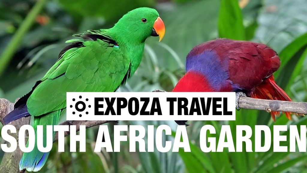 South African Garden Route Vacation Travel Video Guide