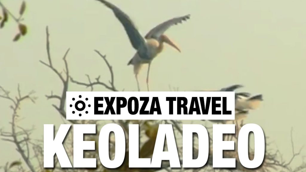 Keoladeo (India) Vacation Travel Video Guide