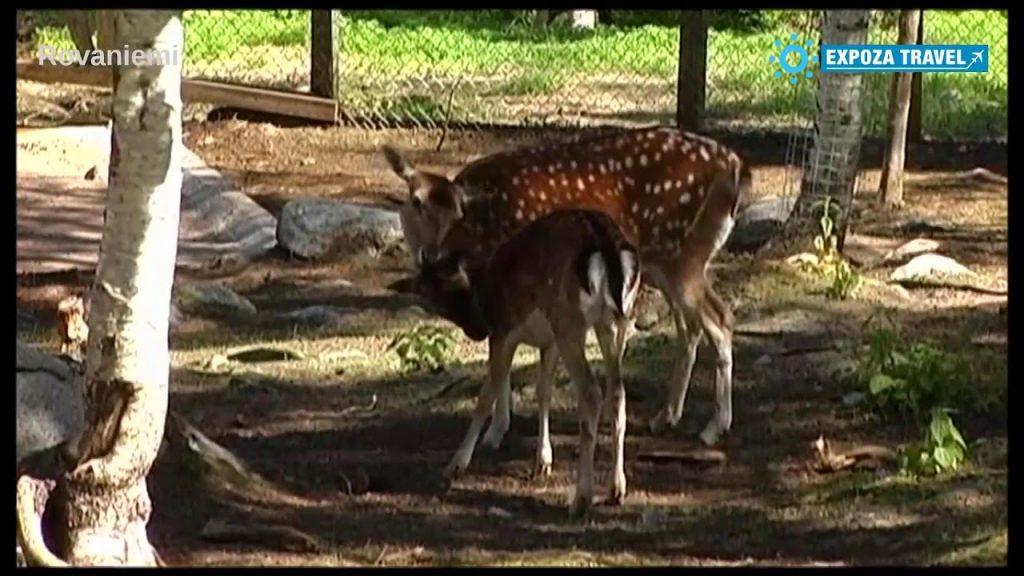 Expoza Travel Live Vacation Travel Video Guides