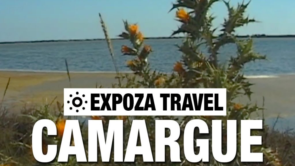 Camargue (France) Vacation Travel Video Guide