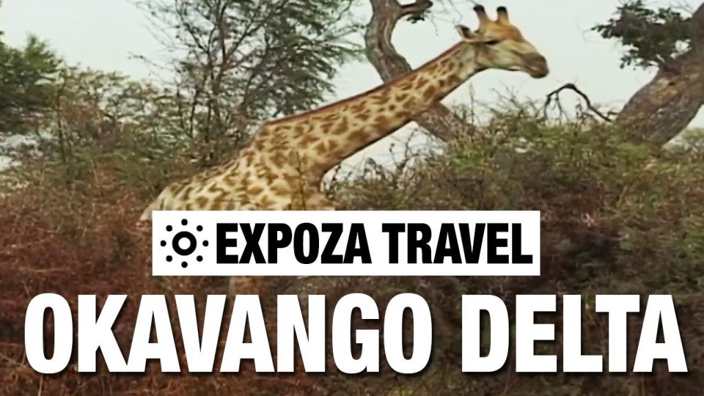 Okavango Delta (Botswana) Vacation Travel Video Guide