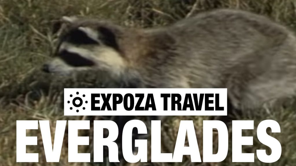Everglades National Park Travel South Florida USA Video Guide