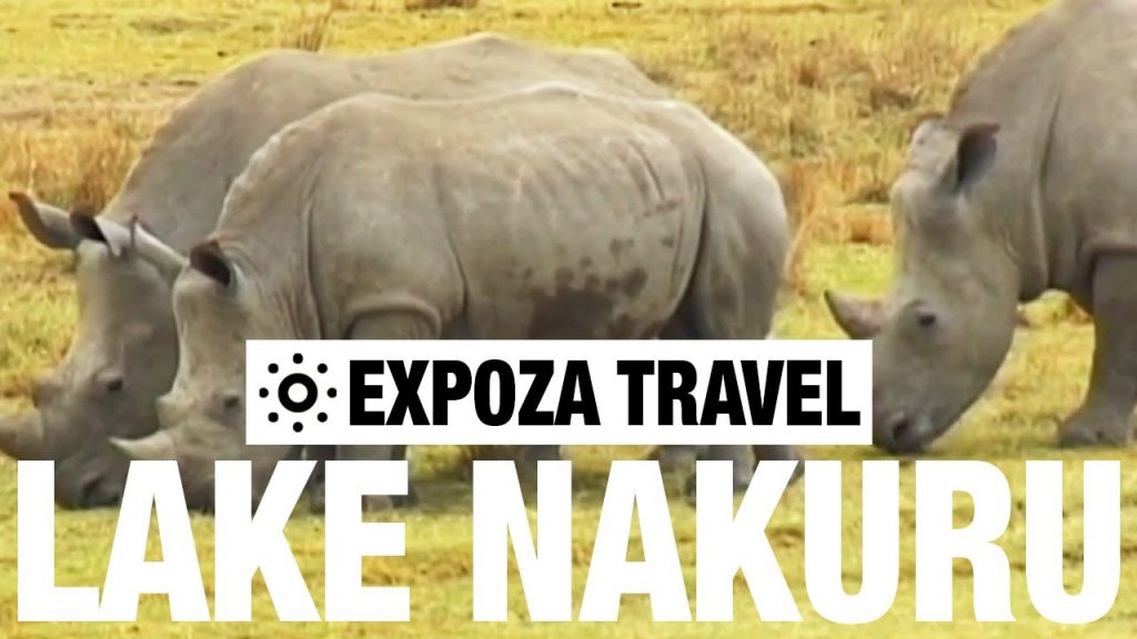 Lake Nakuru (Kenya) Vacation Travel Video Guide