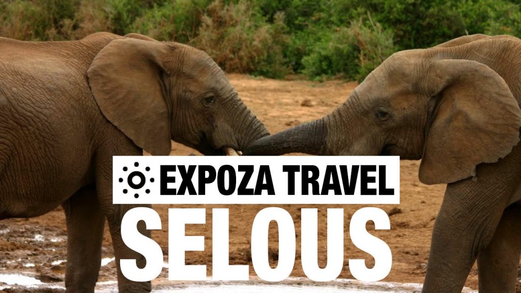 Selous Game Reserve Vacation Travel Video Guide