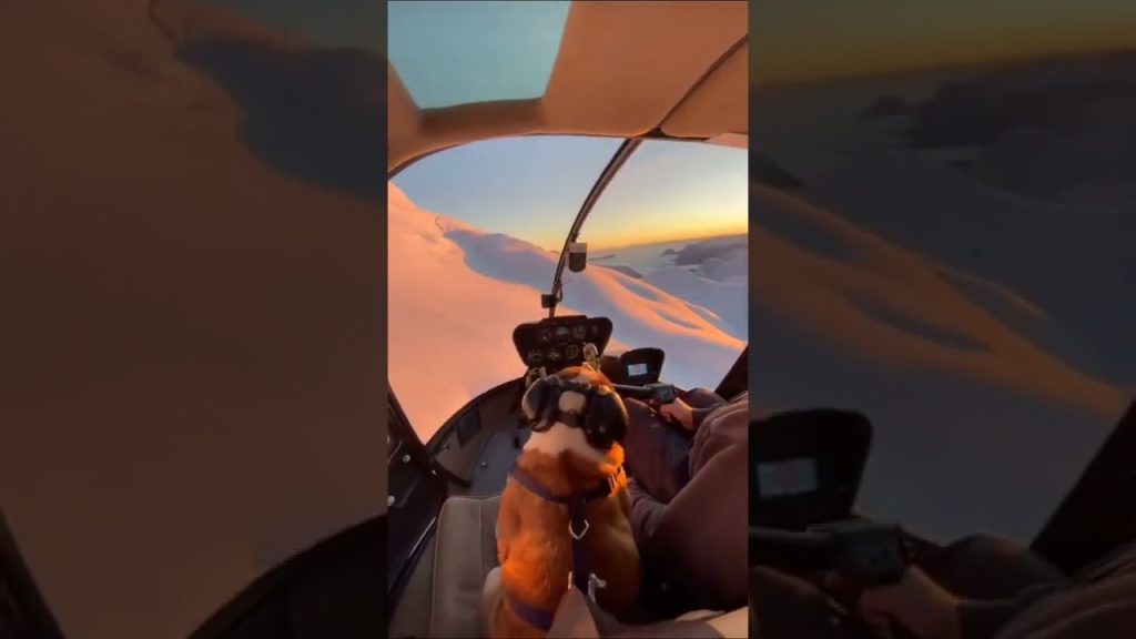 Travel Canadaš || Cotton-candy-like mountains in Canada #shorts #travel #luxury #travelvlog