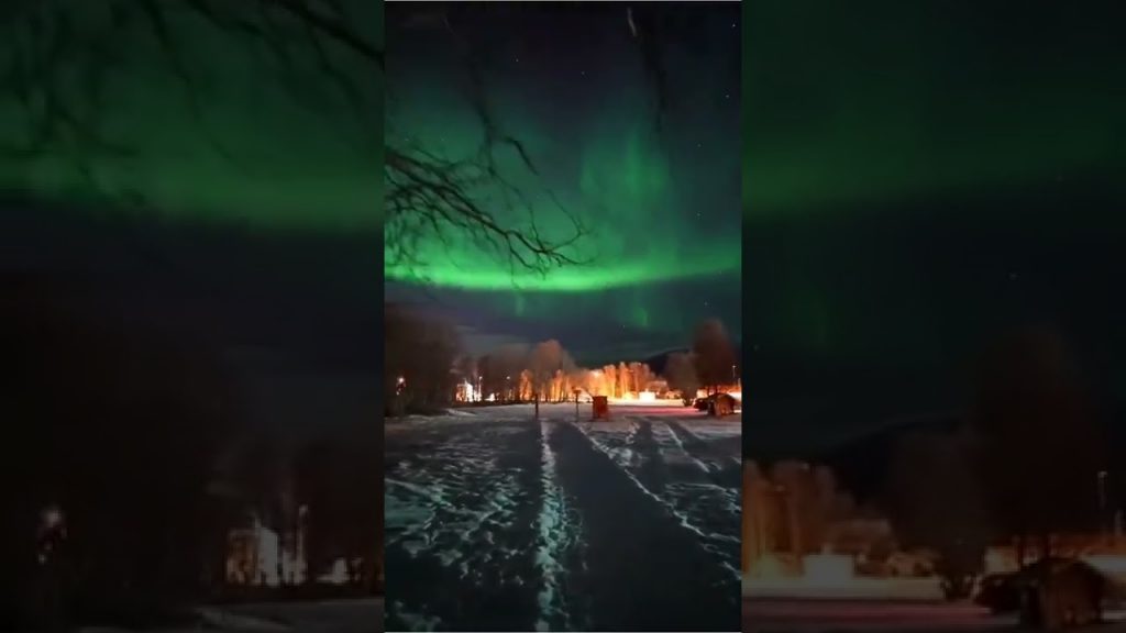 Travel Norway |📍 Sørkjosen, Norway #shorts #travel #norway