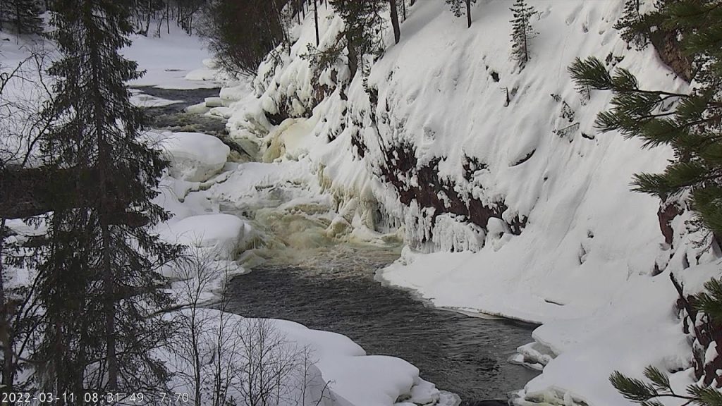 Oulanka Live Webcam Live Stream