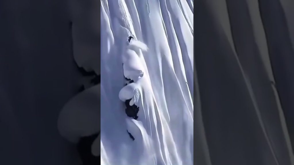 Travel Alaska | 📍 Alaska #shorts #travel #alaska