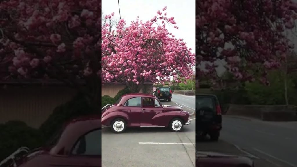 Travel England |📍 Chew Valley, England #shorts #travel #england