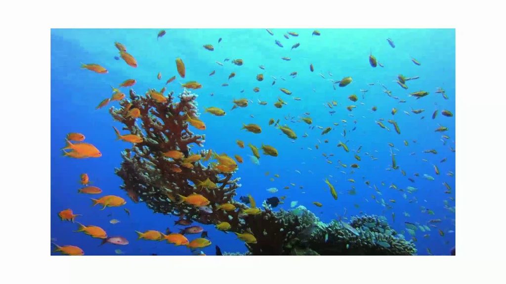 24/7 Live Stream, Time Spent TV, Travel, Relaxing Music, Cooking, Inspiration, Gentle Music, Life