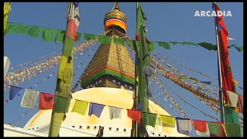 ArcadiaTV World (India - english)