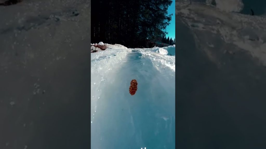 Travel |📍 Alaska #shorts