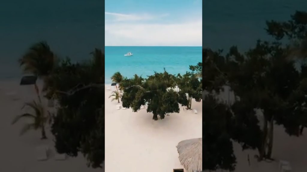 Travel |📍 Jamaica #shorts #travel #jamaica #tourism