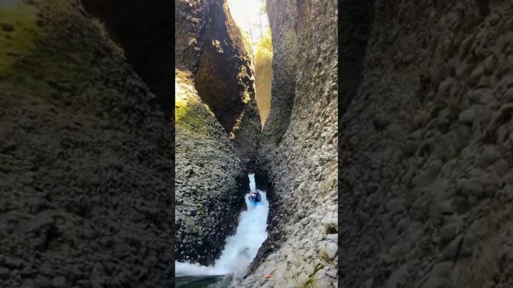 Travel |📍 Parque Inglés, Molina, Chile #shorts #travel #chile