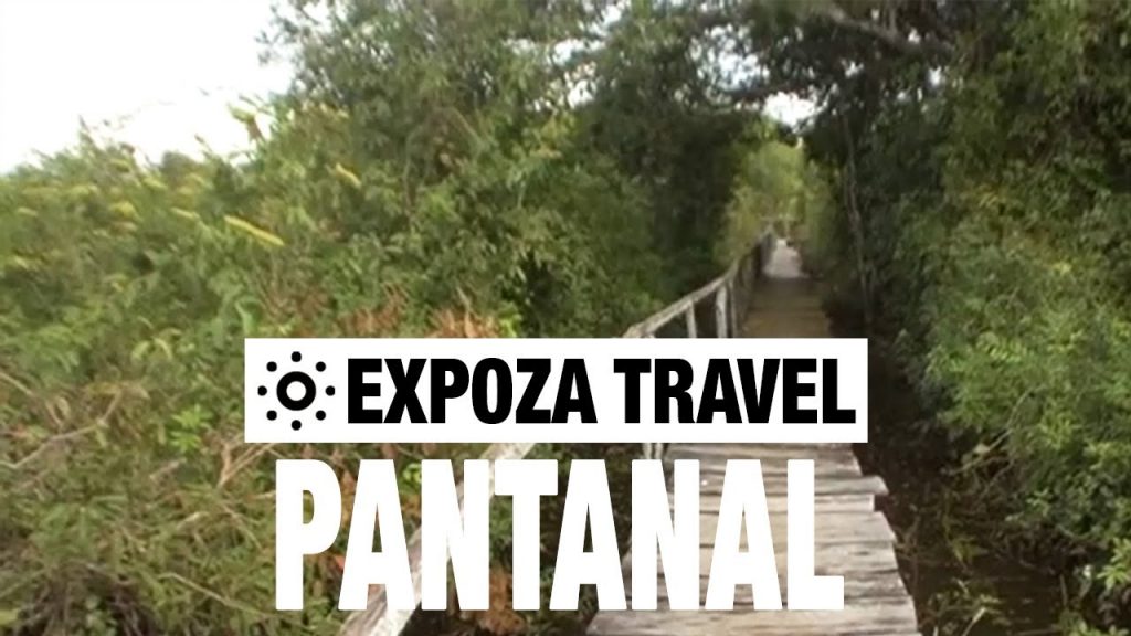 Pantanal (Paraguay) Vacation Travel Video Guide