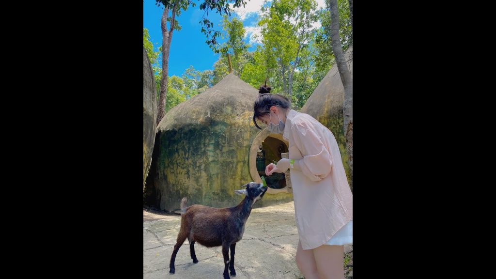 JenkieTFT !newvid !membership !guide