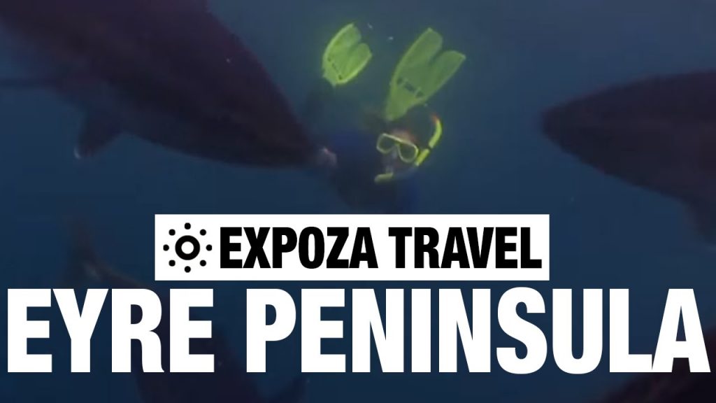 The Eyre Peninsula (Australia) Vacation Travel Wild Video Guide