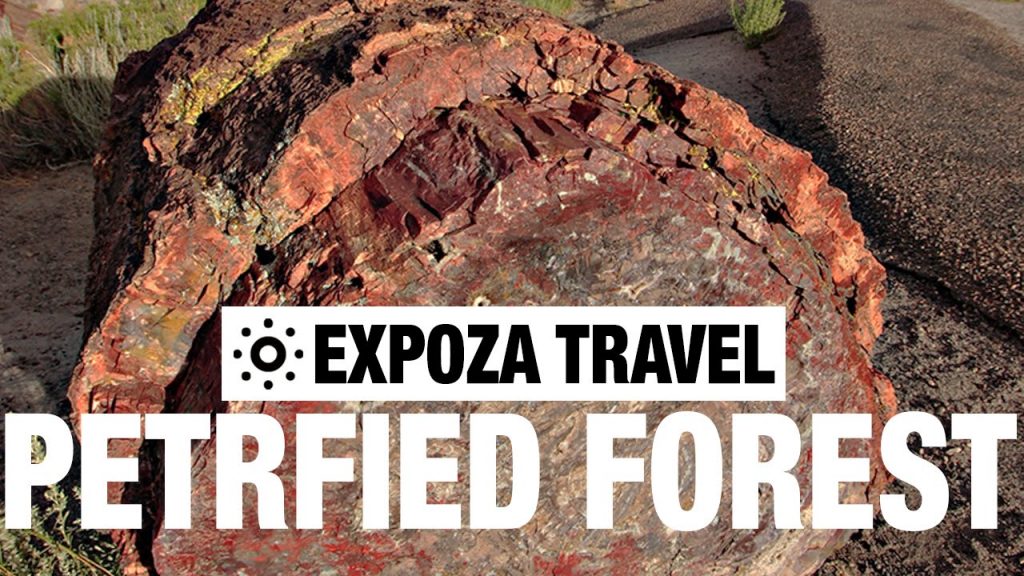 Petrified Forest Vacation Travel Video Guide