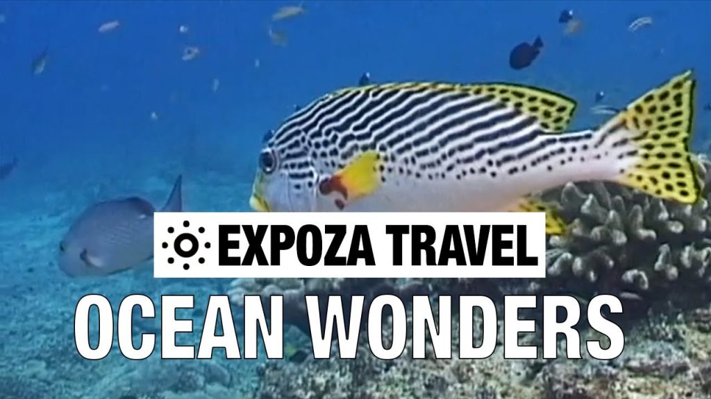 Ocean Wonders (USA) Vacation Travel Video Guide
