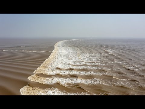 Live: Enjoy fascinating view of Qiantang River's tidal bore – Ep. 8