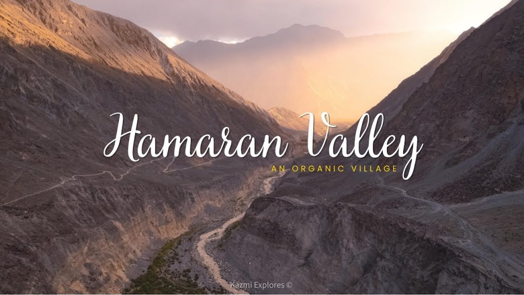 Organic Valley Pakistan | Hamaran Valley Cinematic Drone 4K | Beautiful Valley | GilgitBaltistan