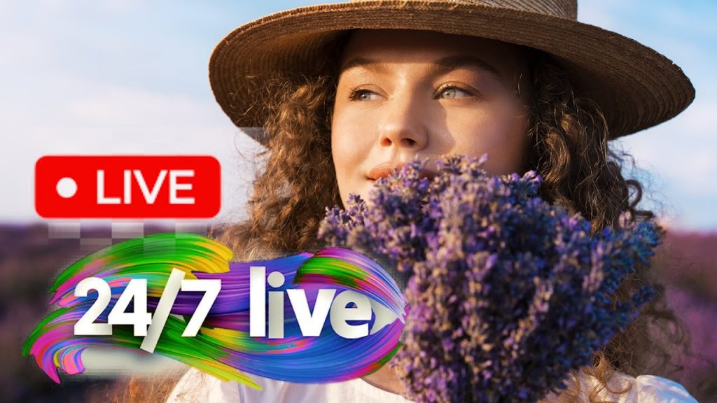 World Travel Guides Live Stream (24/7)