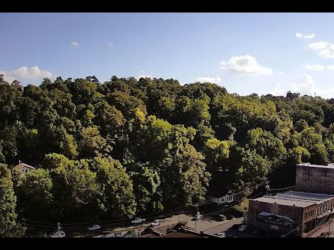 Basin Camera Live Stream