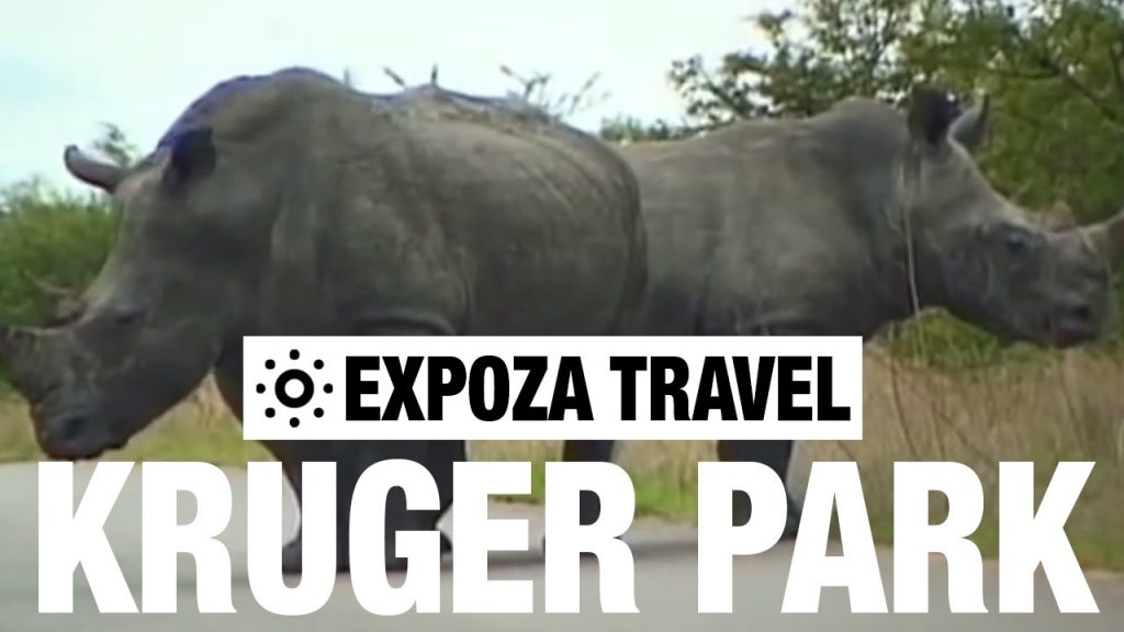 Kruger Park (South Africa) Vacation Travel Video Guide