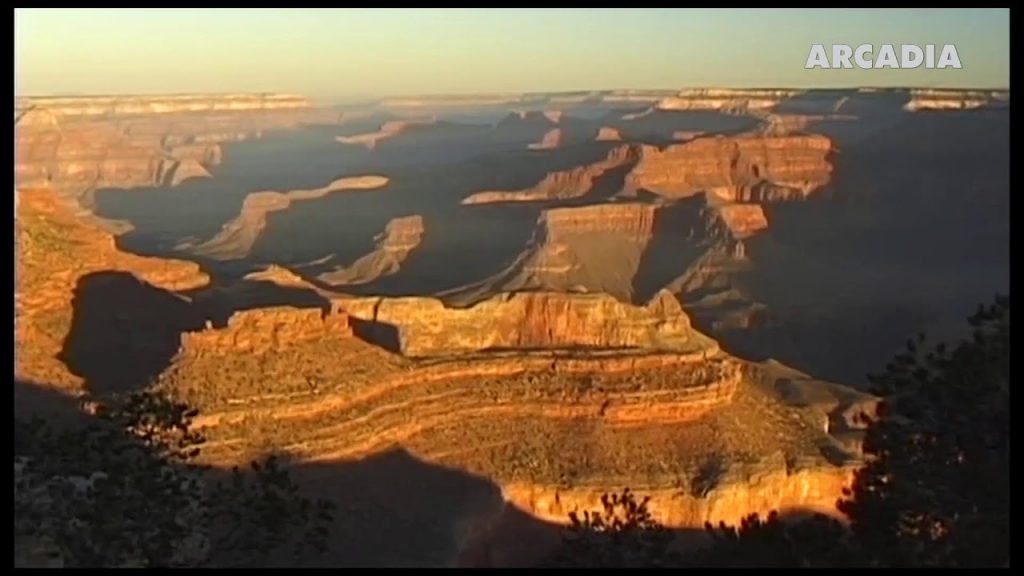 ArcadiaTV World (Österreich - deutsch)