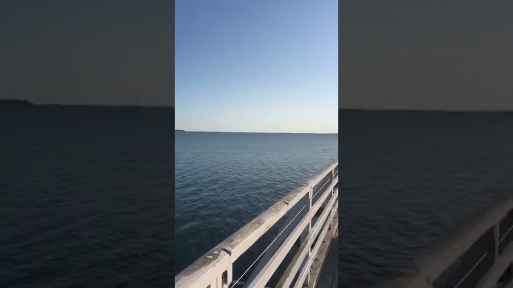 आओ देखे  ब्रिस्बेन ऑस्ट्रेलिया के बेहतरीन समुन्दर का नजारा - Moreton Bay view #shorts