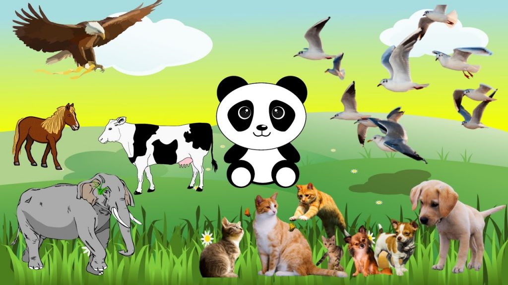 Come on! Getting to Know Different Types of Land and Sea Animals