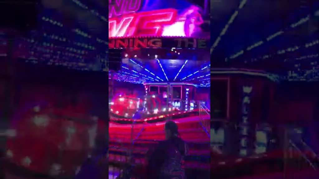 ऑस्ट्रेलियाई टॉरटोरा के मजे लीजिये #shorts Australian life