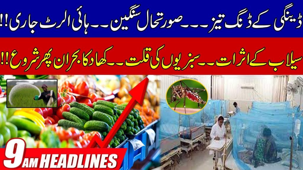 9am News Headlines | 13 Dec 2022 | Rohi