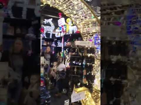 देखिये ऑस्ट्रलियका लोक मेला केसा होता हे ? Life around Australia #shorts
