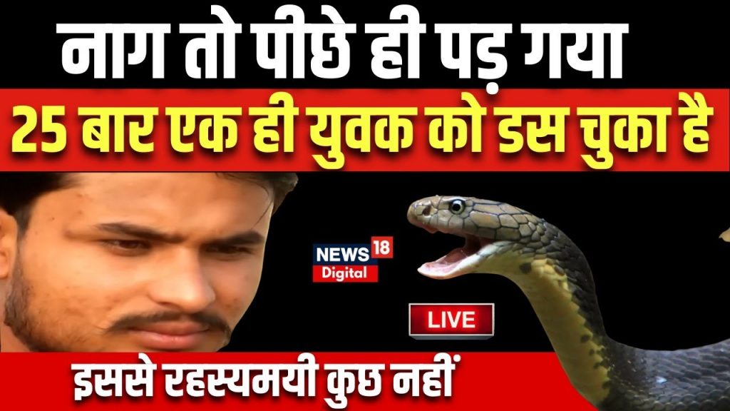 🟢Live  : कहानी उस Naag की जो एक ही युवक को 25 बार काट चुका है ! Snake Video | Cobra | Viral Video